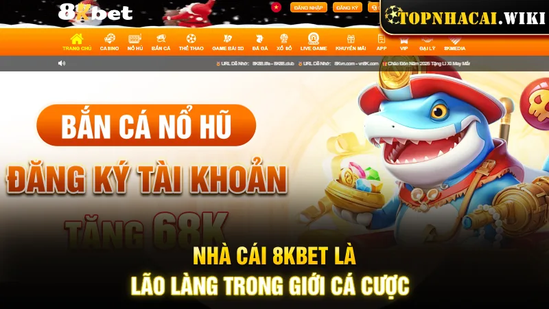 8KBet - Lão làng trong giới cá cược trực tuyến