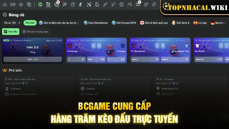 Cung cấp hàng trăm kèo đấu trực tuyến mỗi ngày