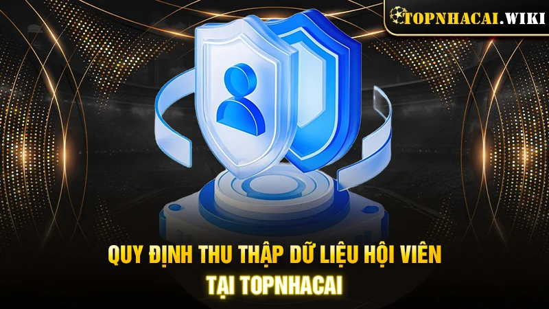 Quy định thu thập dữ liệu hội viên tại Topnhacai
