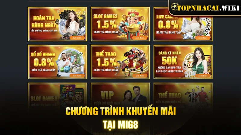 Chương trình khuyến mãi, ưu đãi ngon ăn tại trang cược