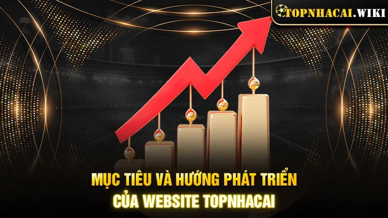 Mục tiêu và hướng phát triển của website Topnhacai