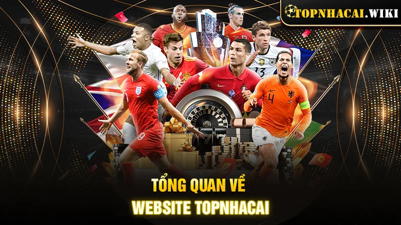Tổng quan về website Topnhacai
