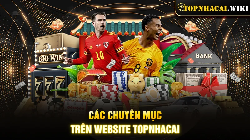 Các chuyên mục trên website Topnhacai