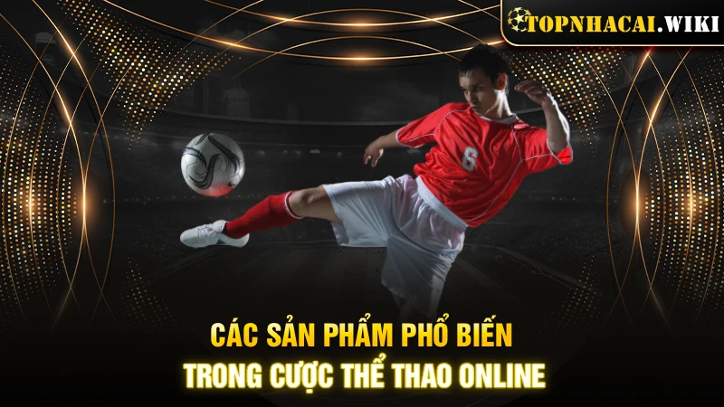 Các sản phẩm phổ biến trong cược thể thao online