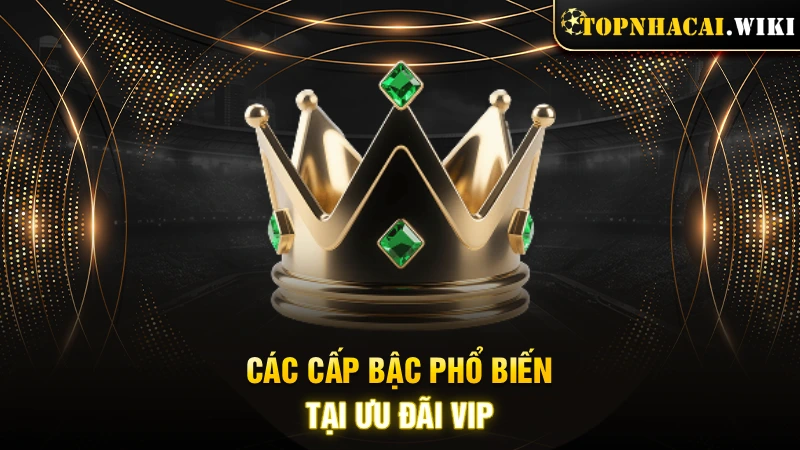 Các cấp bậc phổ biến tại ưu đãi VIP